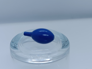 Article Prune - LE VERGER 30 ans